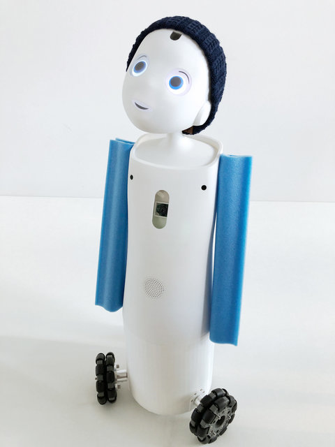 VIVA Roboter 