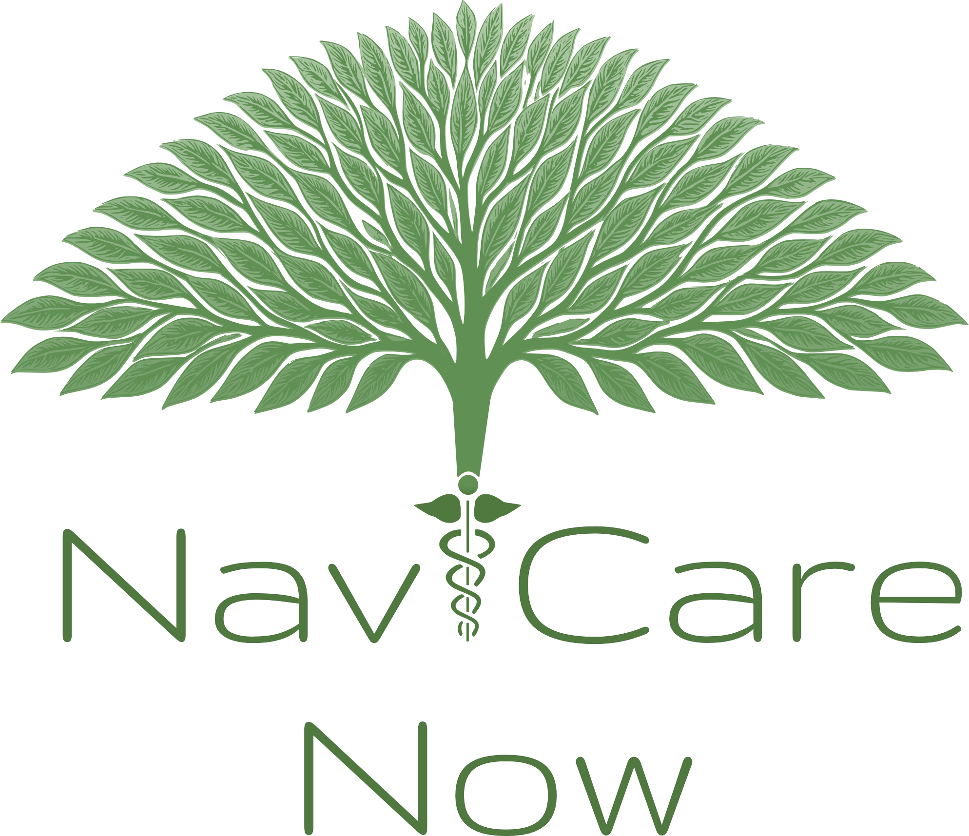 NaviCare Now
